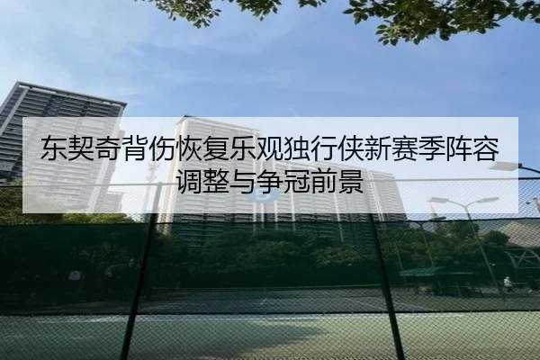 东契奇背伤恢复乐观独行侠新赛季阵容调整与争冠前景